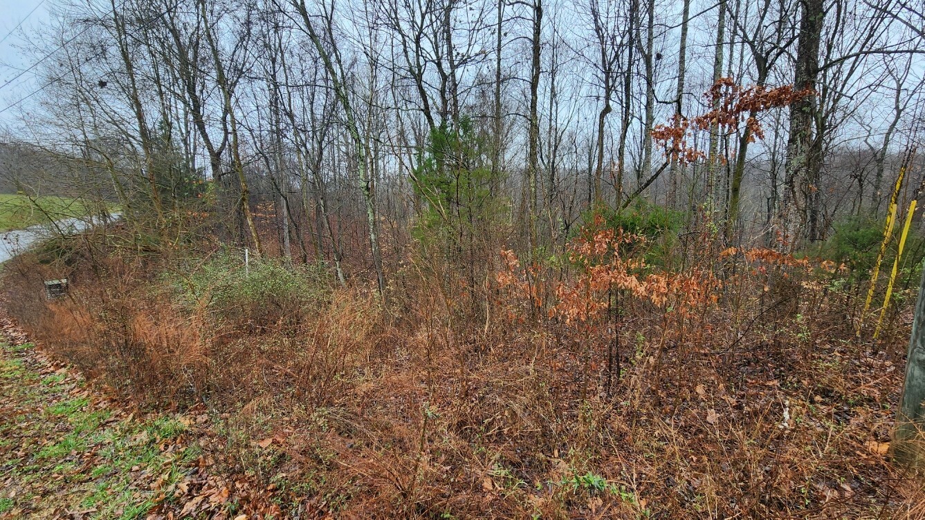 Property Photo: 1120 Jacobs Ct TN 37080