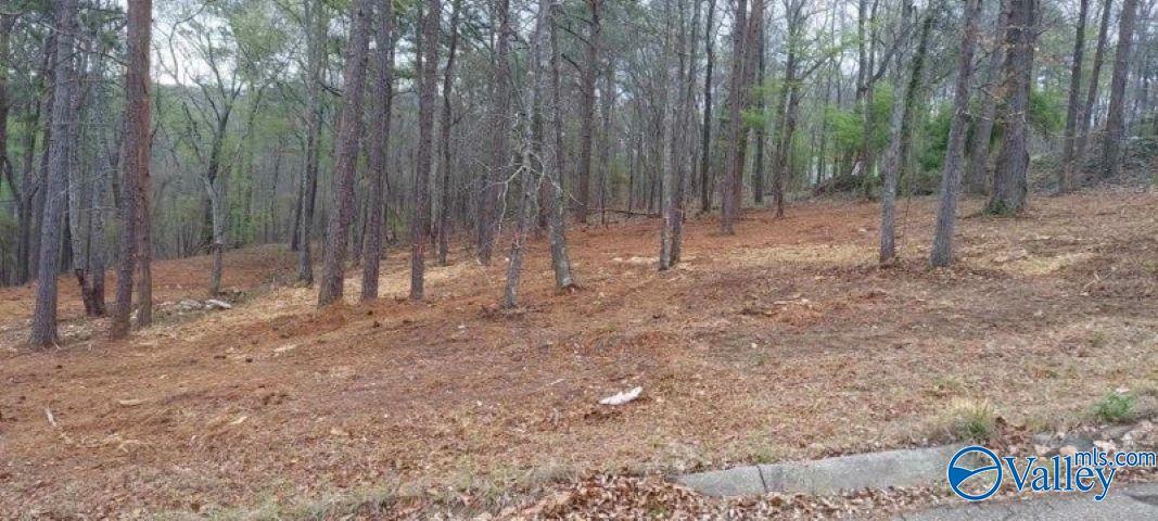 Property Photo:  .78 Acre Mountain Brow Drive  AL 36203 