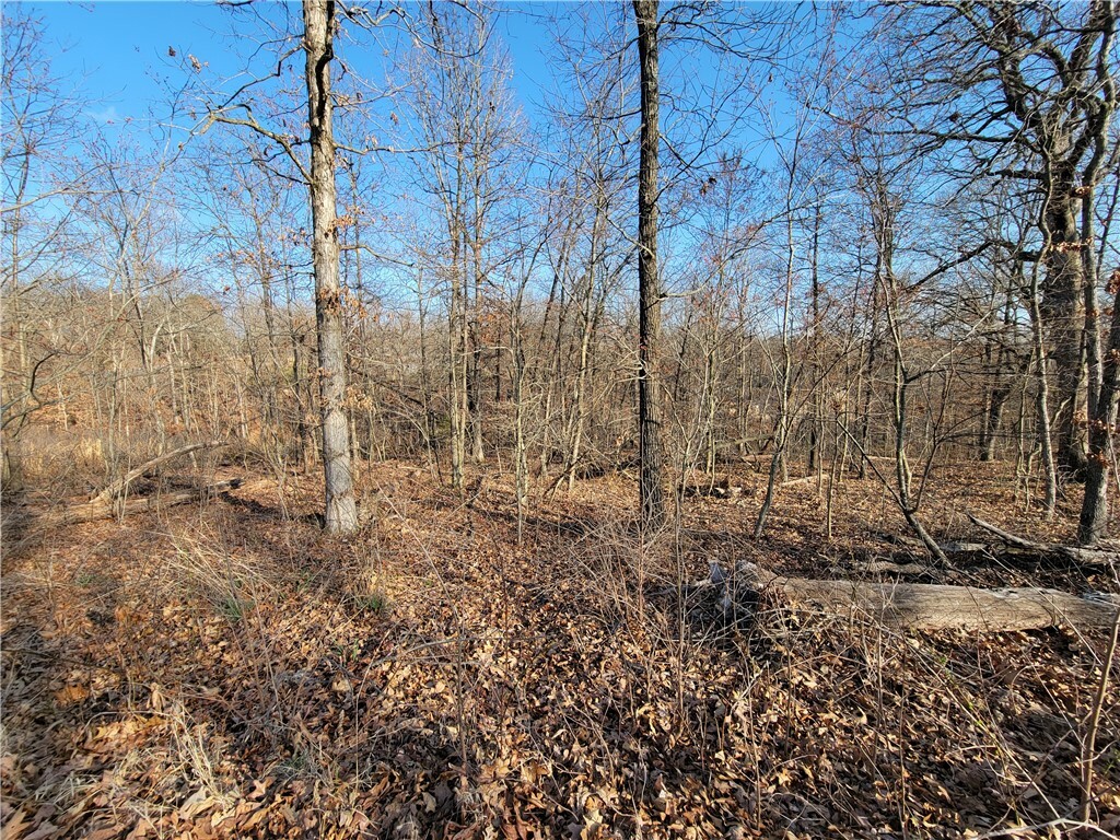 Property Photo:  Carnahan Lane  AR 72715 