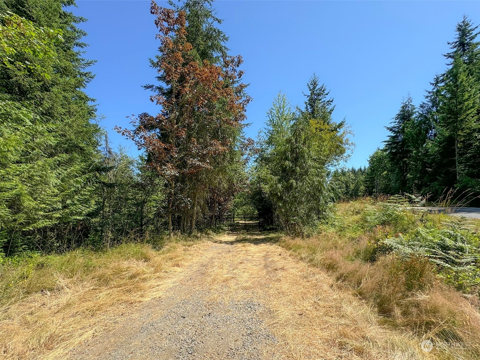 Property Photo:  9999 Township Line Road  WA 98362 