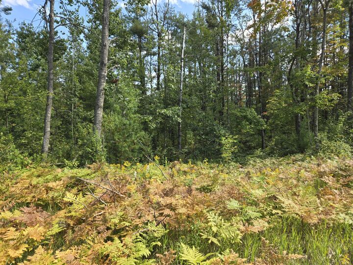 Property Photo: 64 Pine Grove Road MI 49735