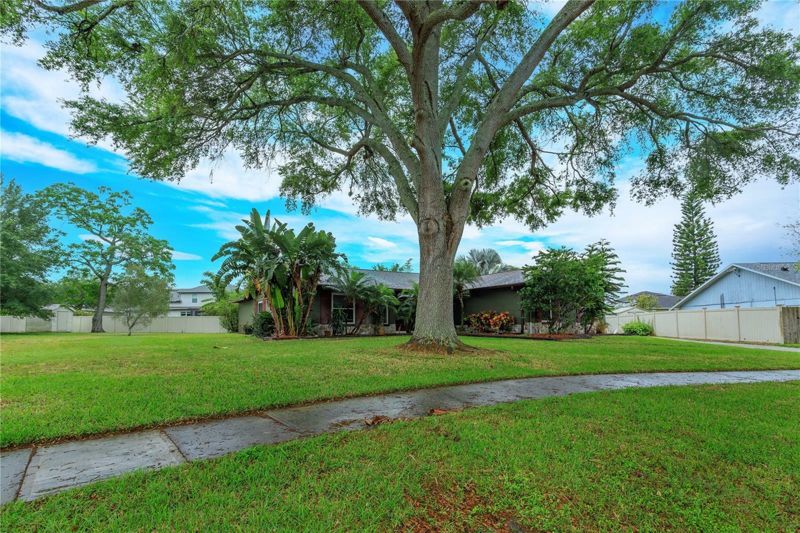 Property Photo:  644 Glenview Drive  FL 34787 