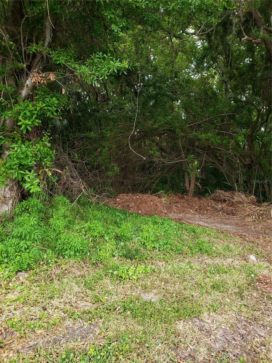 Property Photo:  Grosse Avenue  FL 34689 