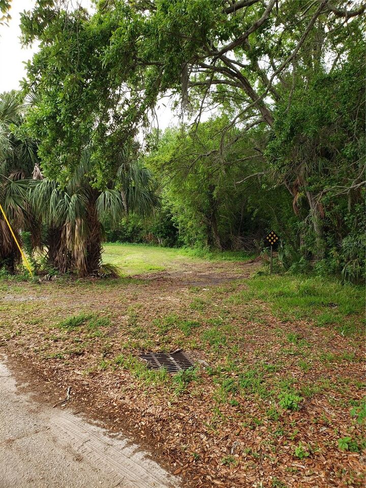 Property Photo: Grosse Avenue FL 34689