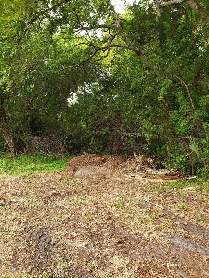 Property Photo: Grosse Avenue FL 34689