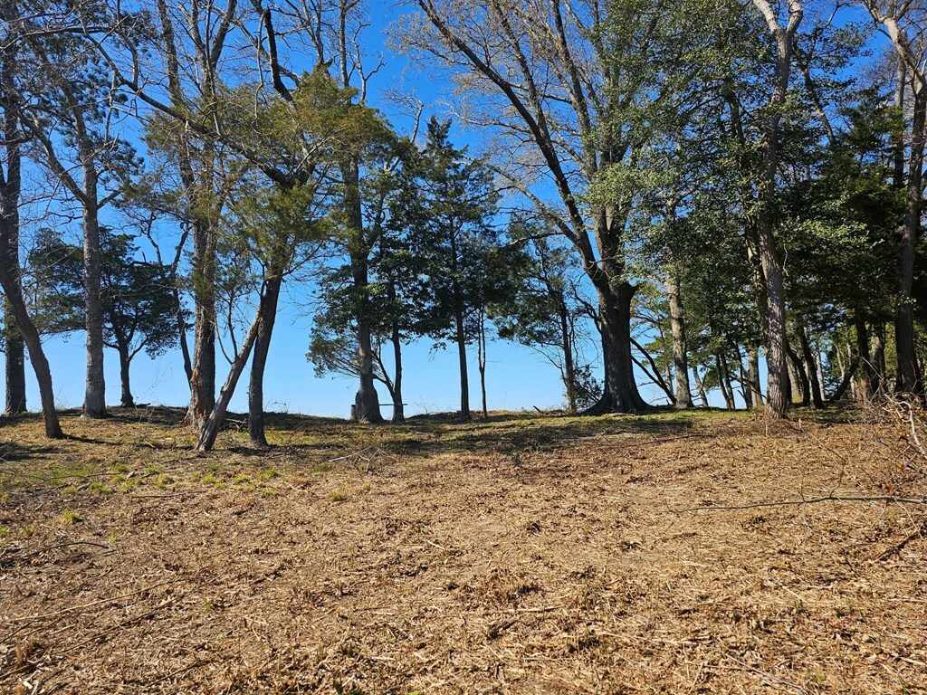 Property Photo:  Lot 8 Cedar Grove Drive  VA 23420 