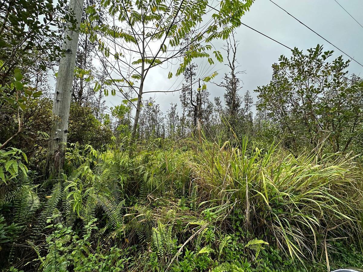 Property Photo:  Road 2 (Ao)  HI 96760 