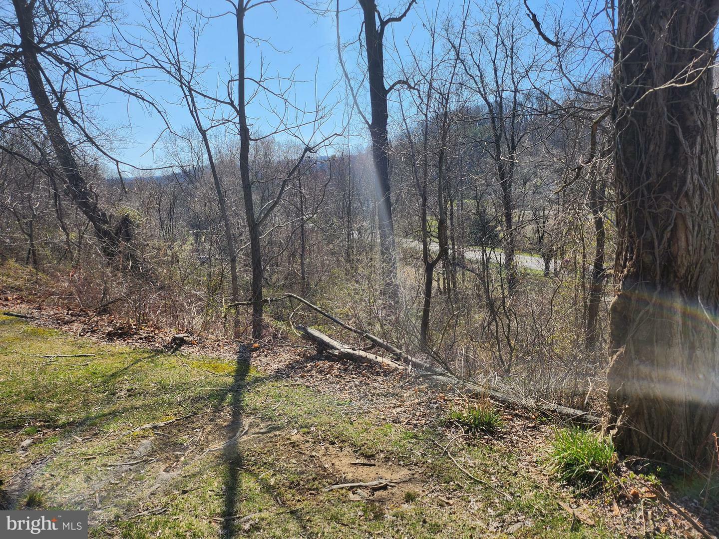 Property Photo:  0 Rte 73  PA 19512 