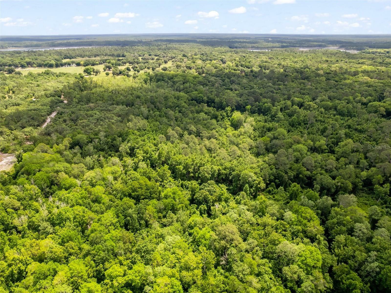 Property Photo: SE 182nd Avenue Rd FL 32179