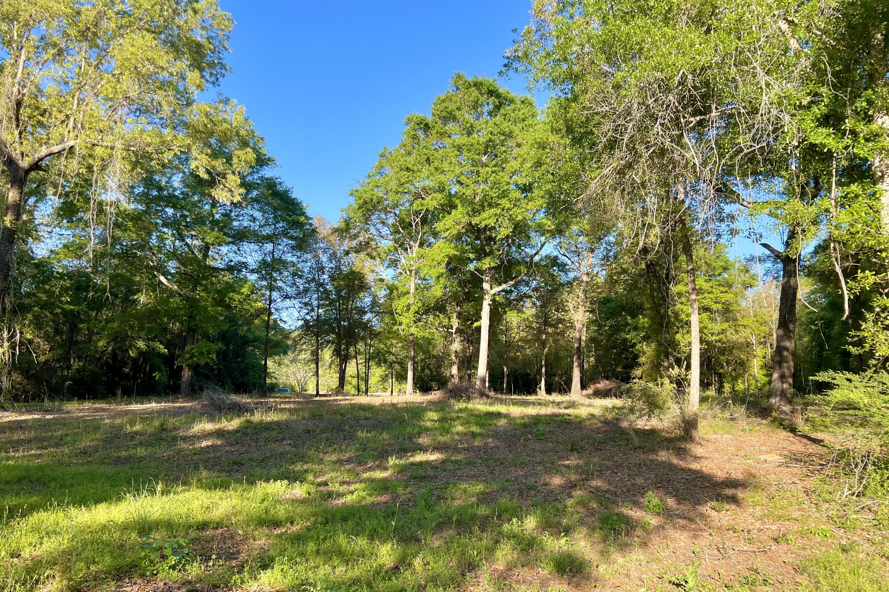 Property Photo:  3.75 Acres Hester Church Road  FL 32531 