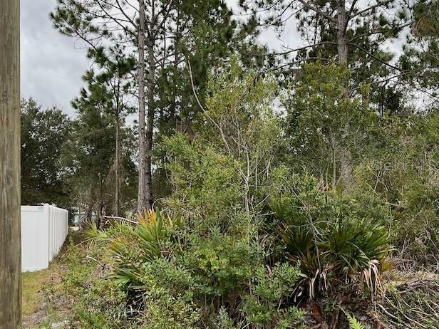 Property Photo:  3 Flaxton Court  FL 32137 