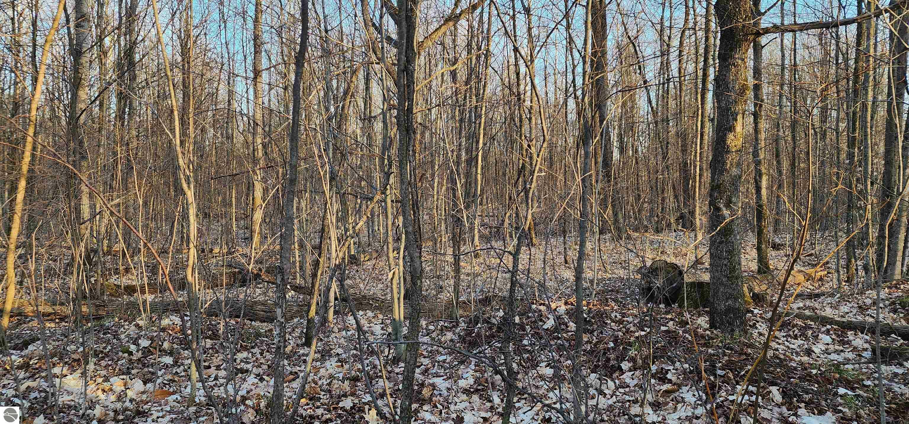 Property Photo:  Vl 10 Acres Johnson Road  MI 49651 