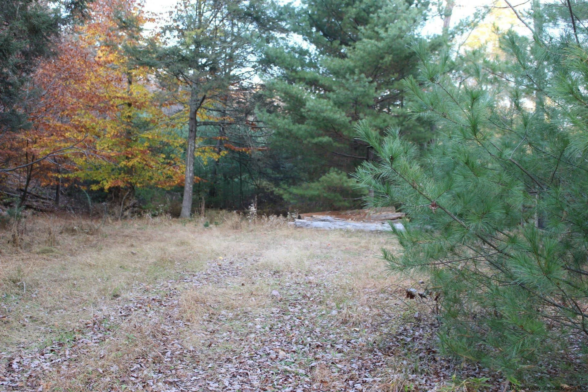 Property Photo:  94 Newell  NY 12401 