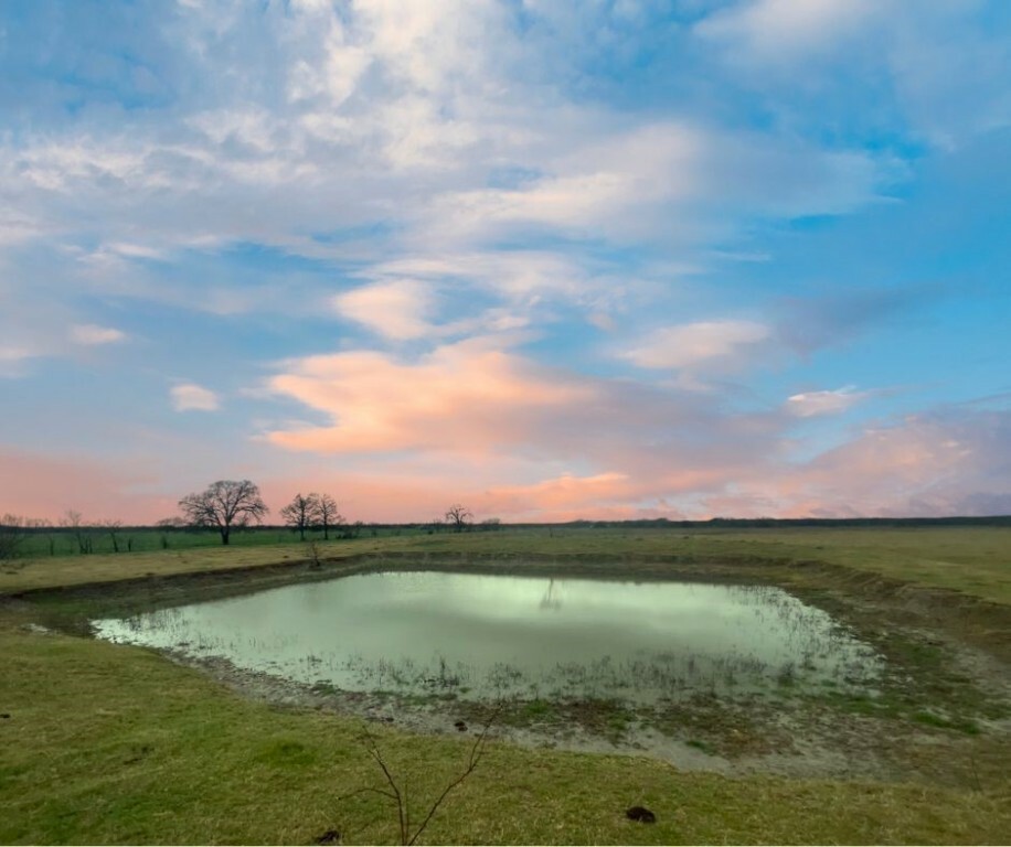 Property Photo:  256 Cr 129 Road  TX 76661 