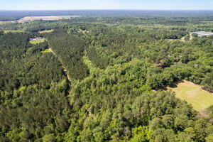 Property Photo:  19.21 Ac Pearces Rd.  MS 39425 