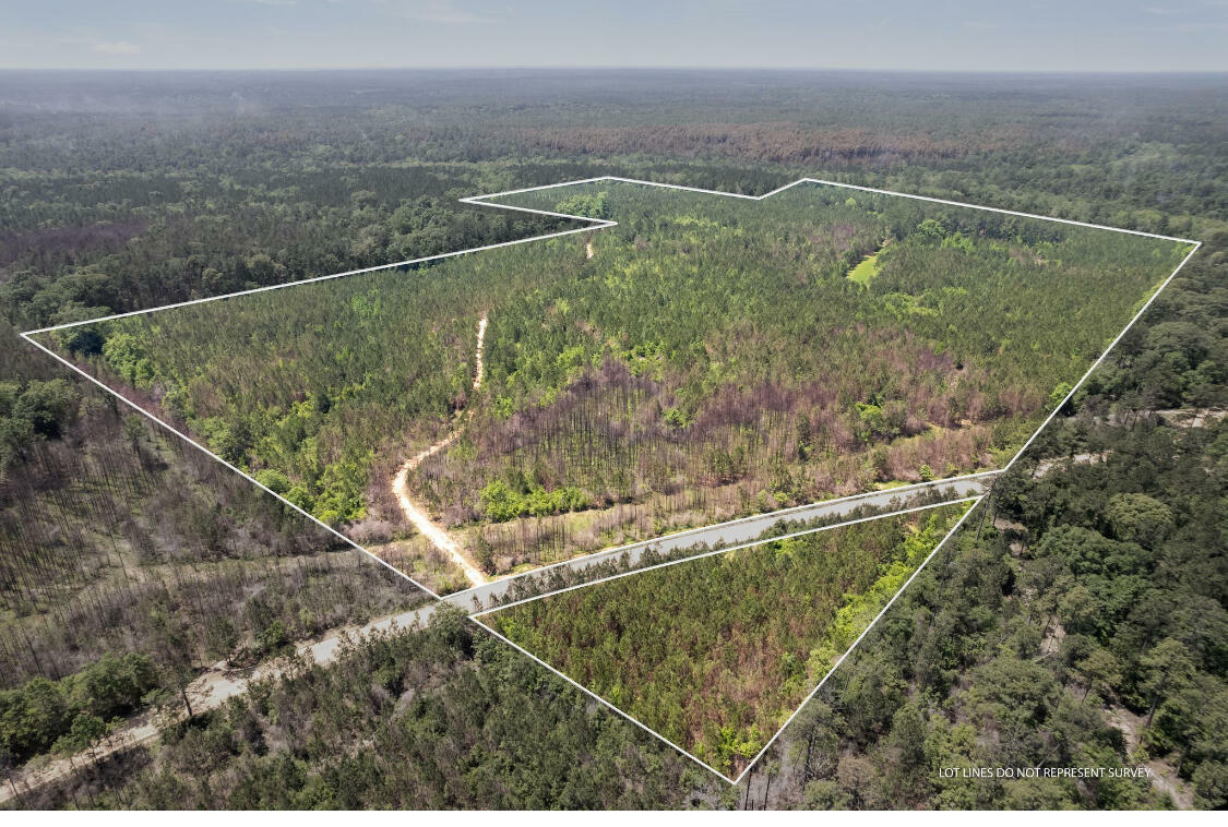 Property Photo:  90 Ac New York Rd.  MS 39425 