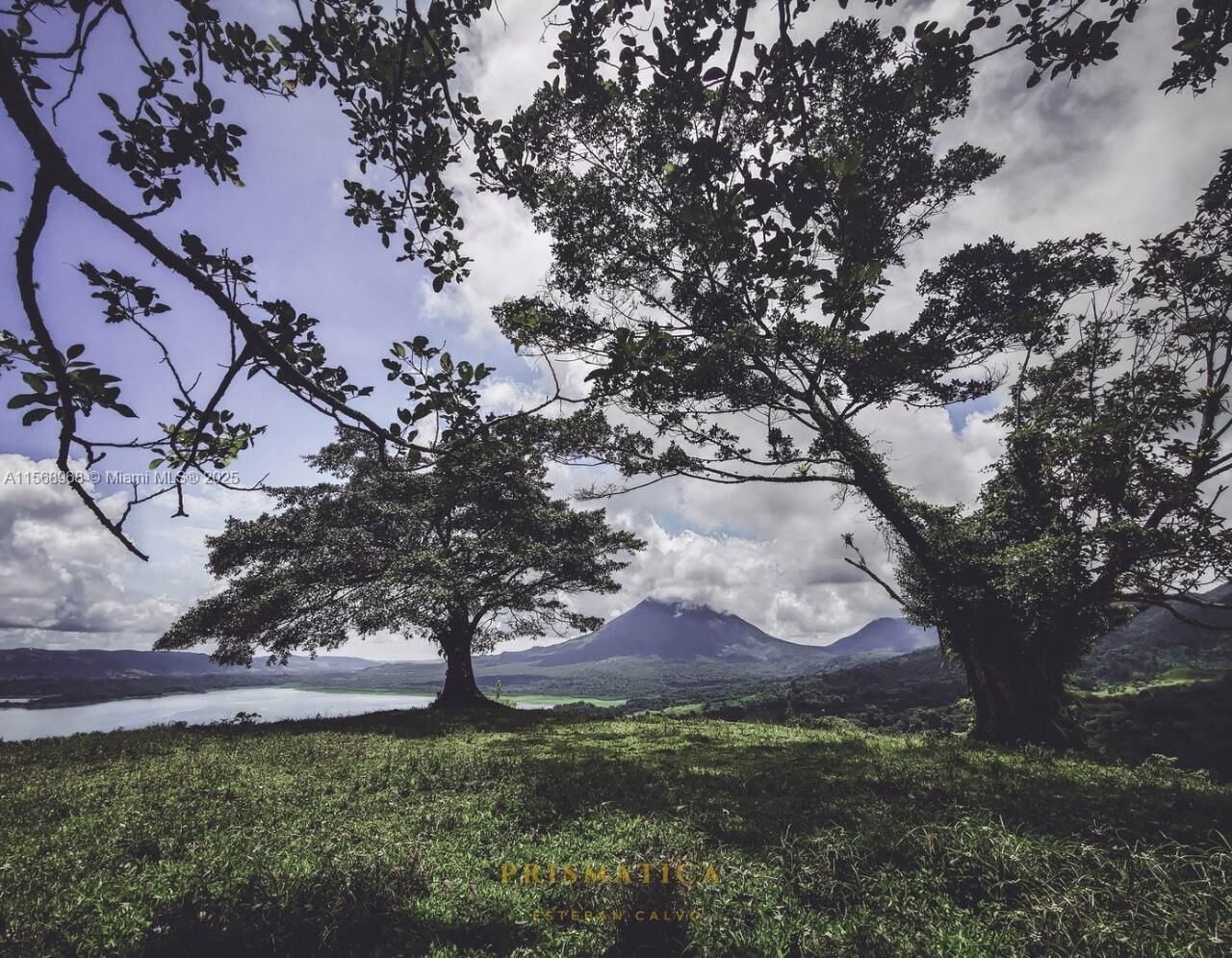 Property Photo: