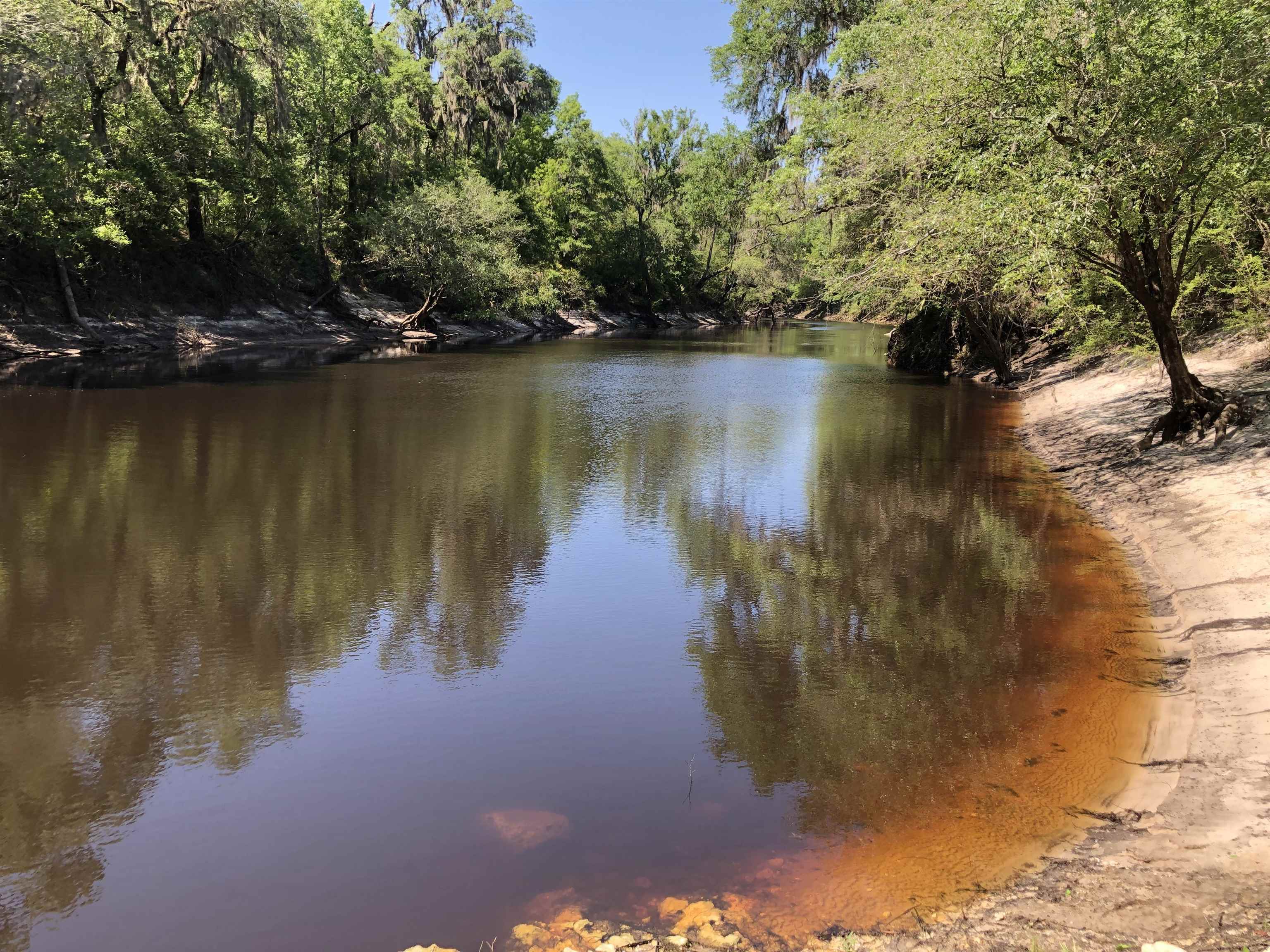 Property Photo: 00 SW County Rd. 751 FL 32052
