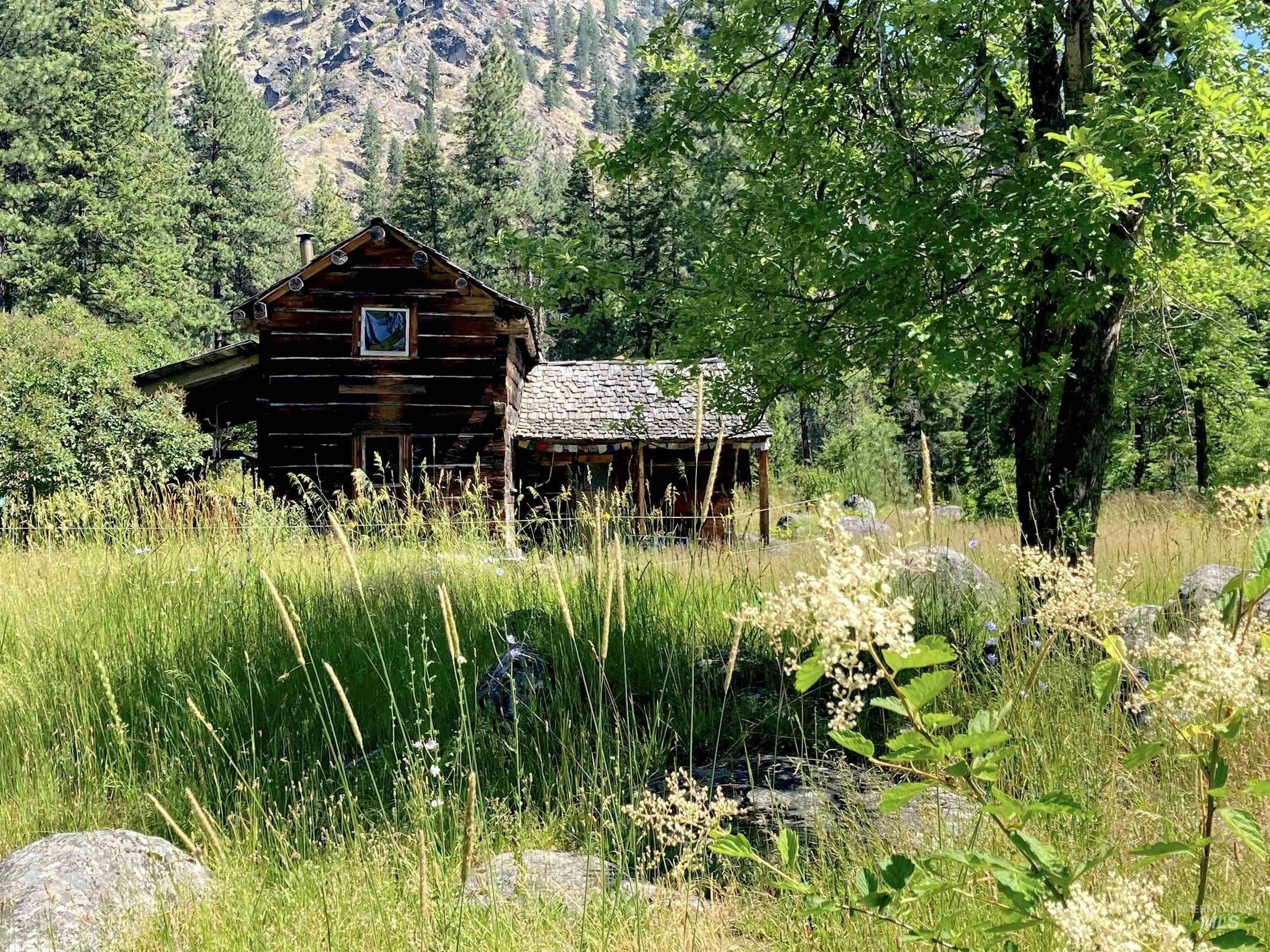 Property Photo:  3869 Big Salmon River Rd  ID 83549 