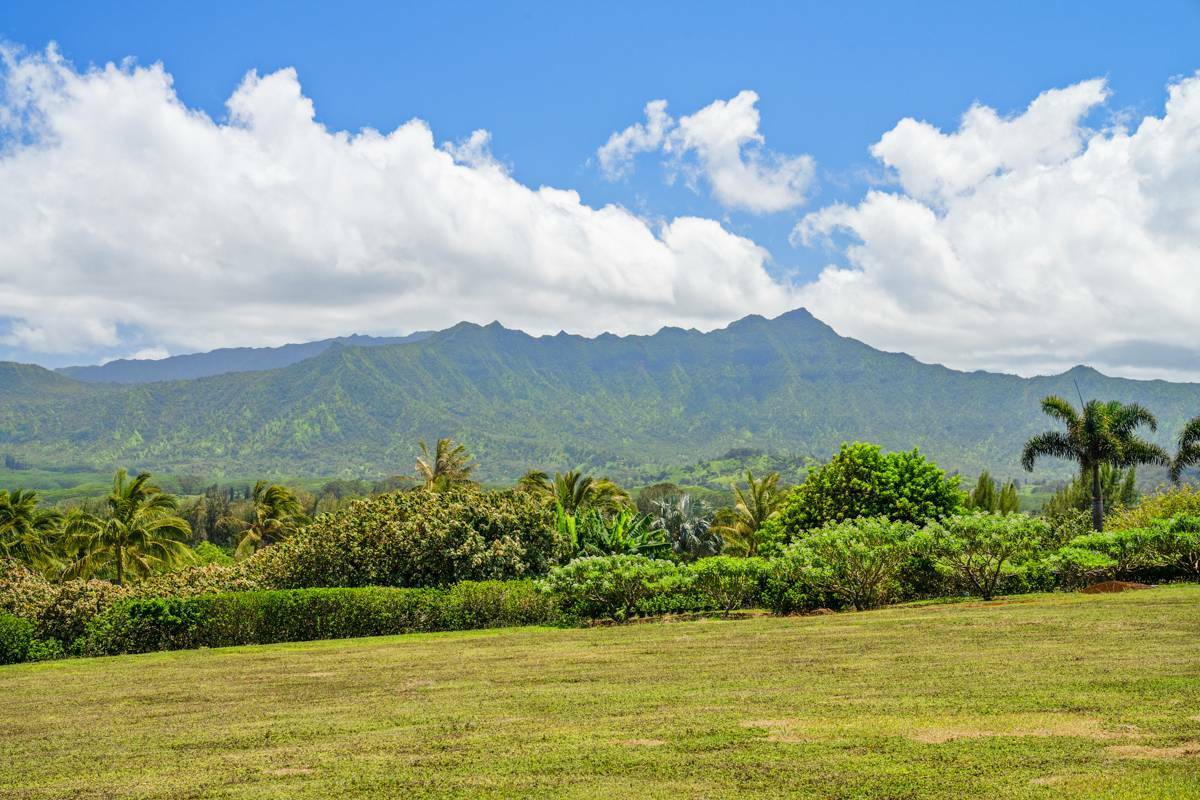 Iwalani Estates  Kilauea HI 96754 photo