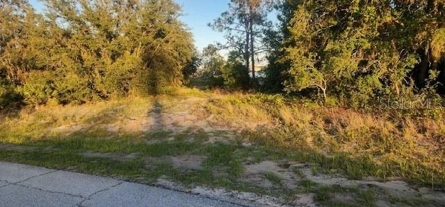 Property Photo:  1331 Congo Drive  FL 34759 