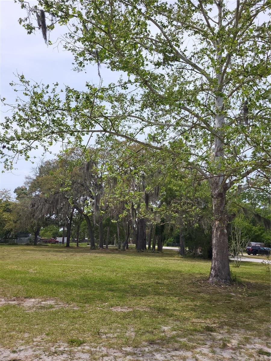 Property Photo: 9810 Kent Street FL 34669