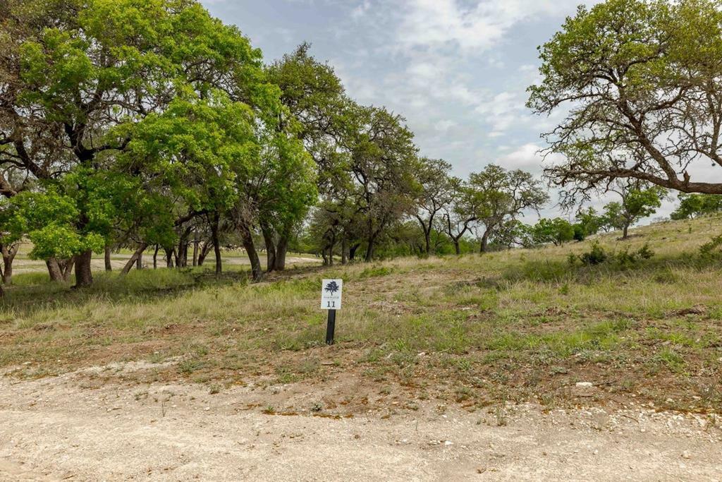 Property Photo:  Lot 11 Oakwater Dr  TX 78624 