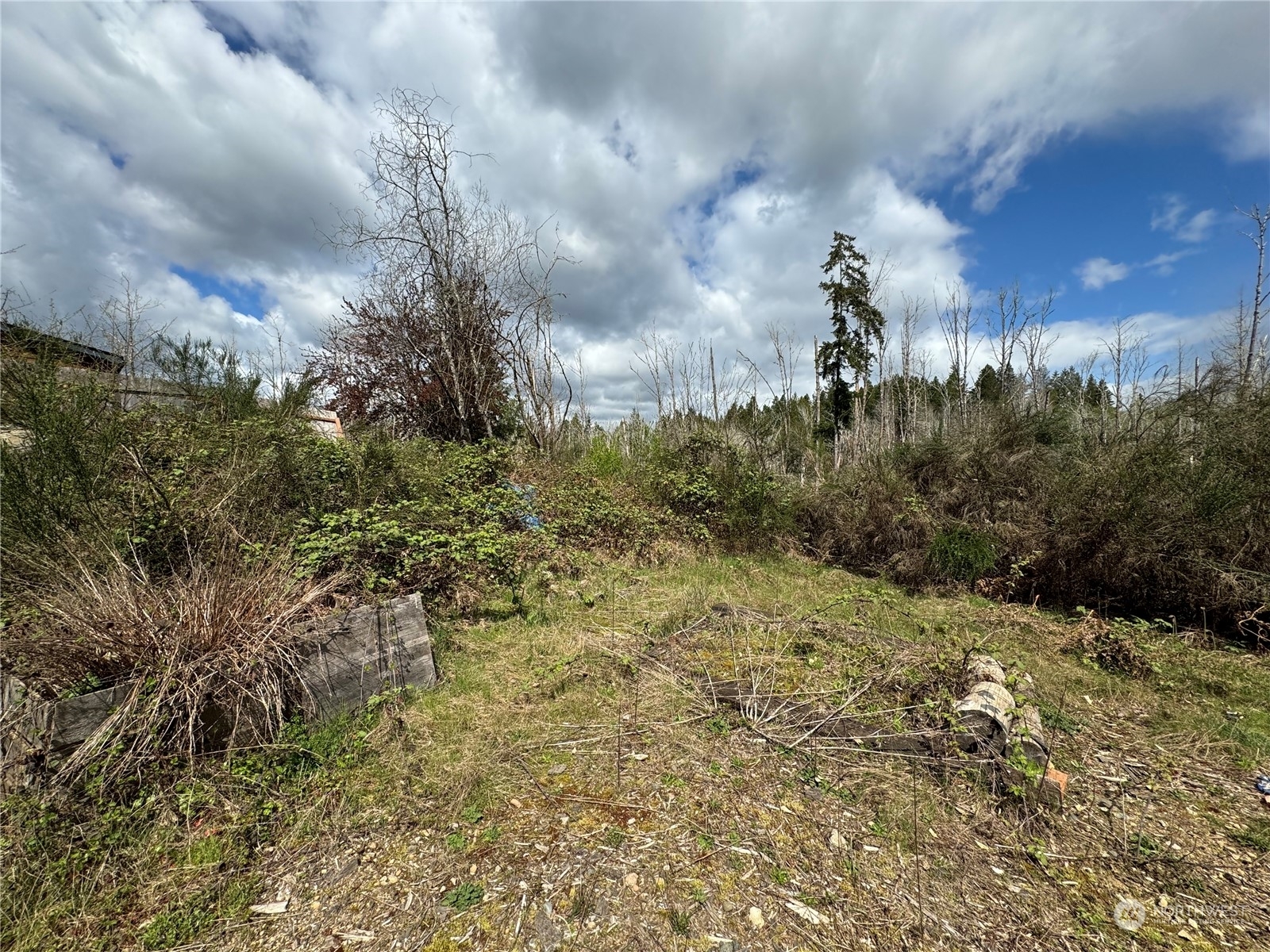 Property Photo:  12512  Westbrook Drive SW  WA 98367 