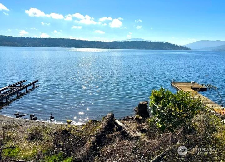 626 W Lake Sammamish Parkway NE  Bellevue WA 98008 photo