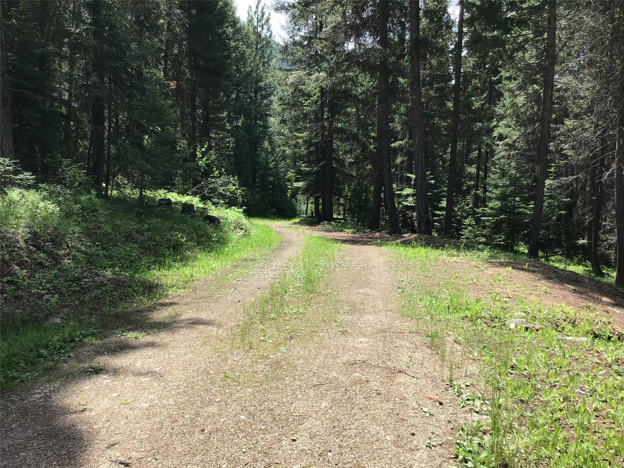 Property Photo:  180 Rimfire Lane  MT 59866 