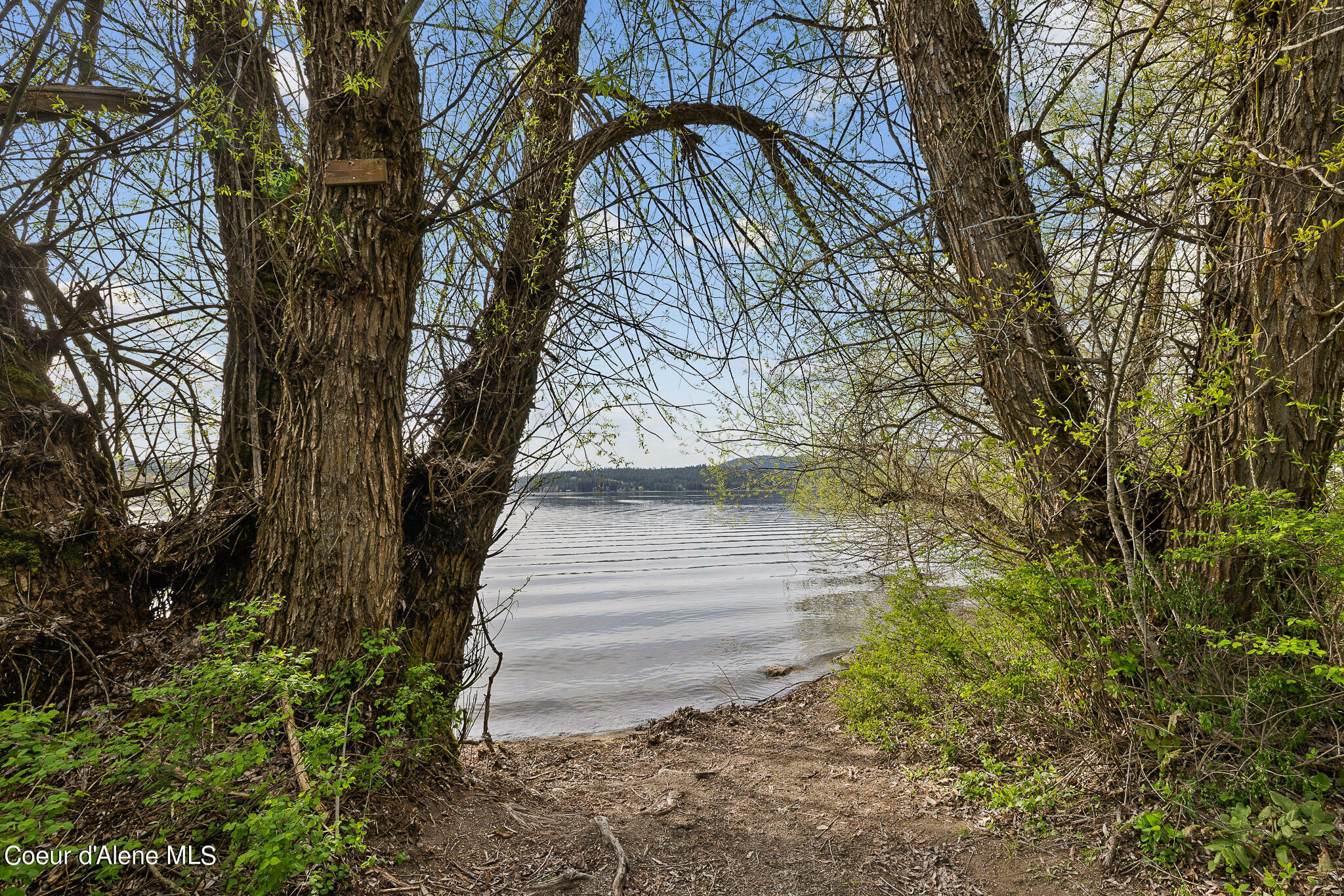 Property Photo:  Nka N Cliffhouse Rd  ID 83854 