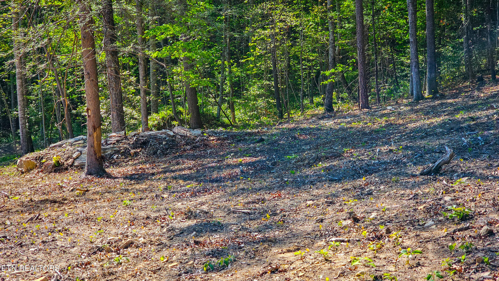 Property Photo:  16305 Hwy 70E  TN 37854 