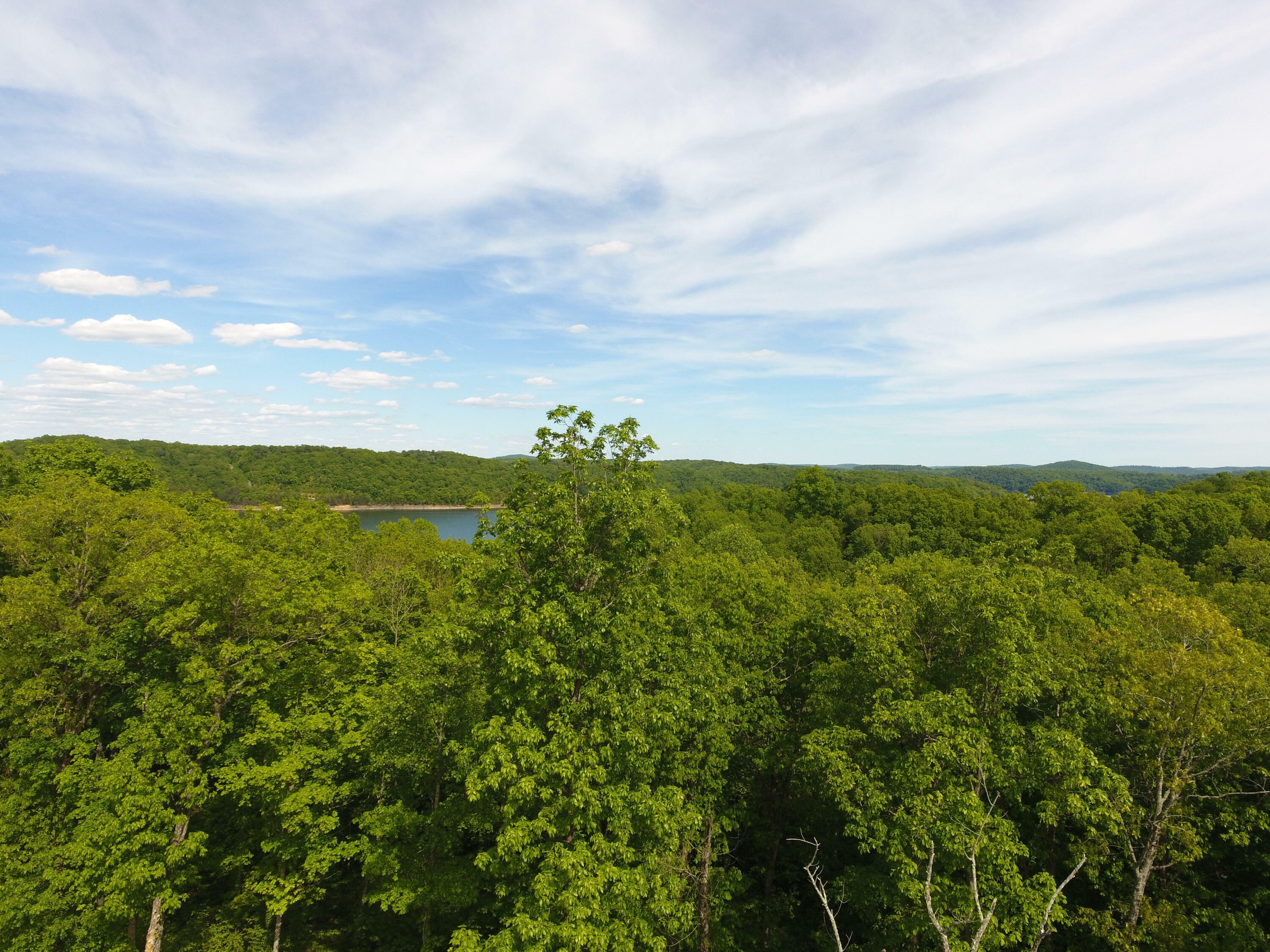 Property Photo:  Lot 37 Cumberland Shores  KY 42633 