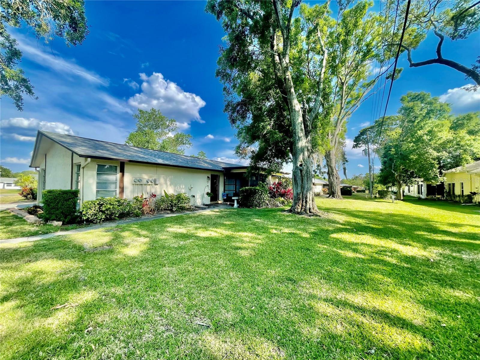 Property Photo: 1223 Queen Anne Drive C FL 34684