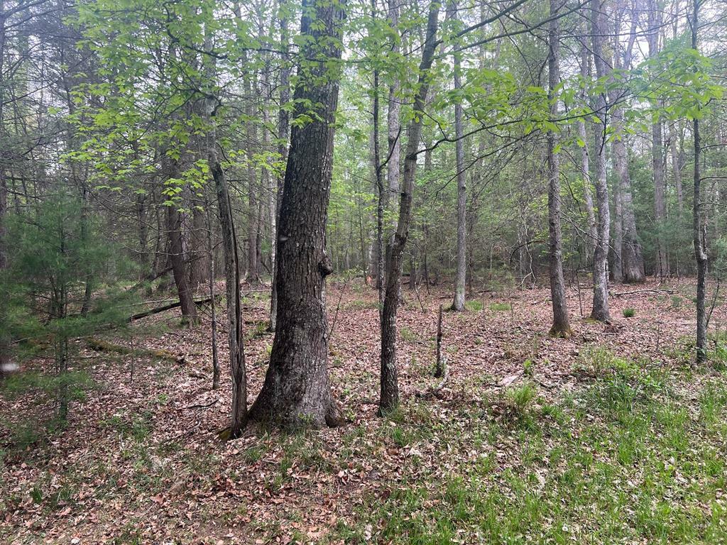 Lot 3 Asbury Trace  Lewisburg WV 24901 photo