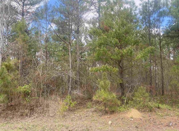 Property Photo:  3.96 Acres County Road 739  AL 35978 