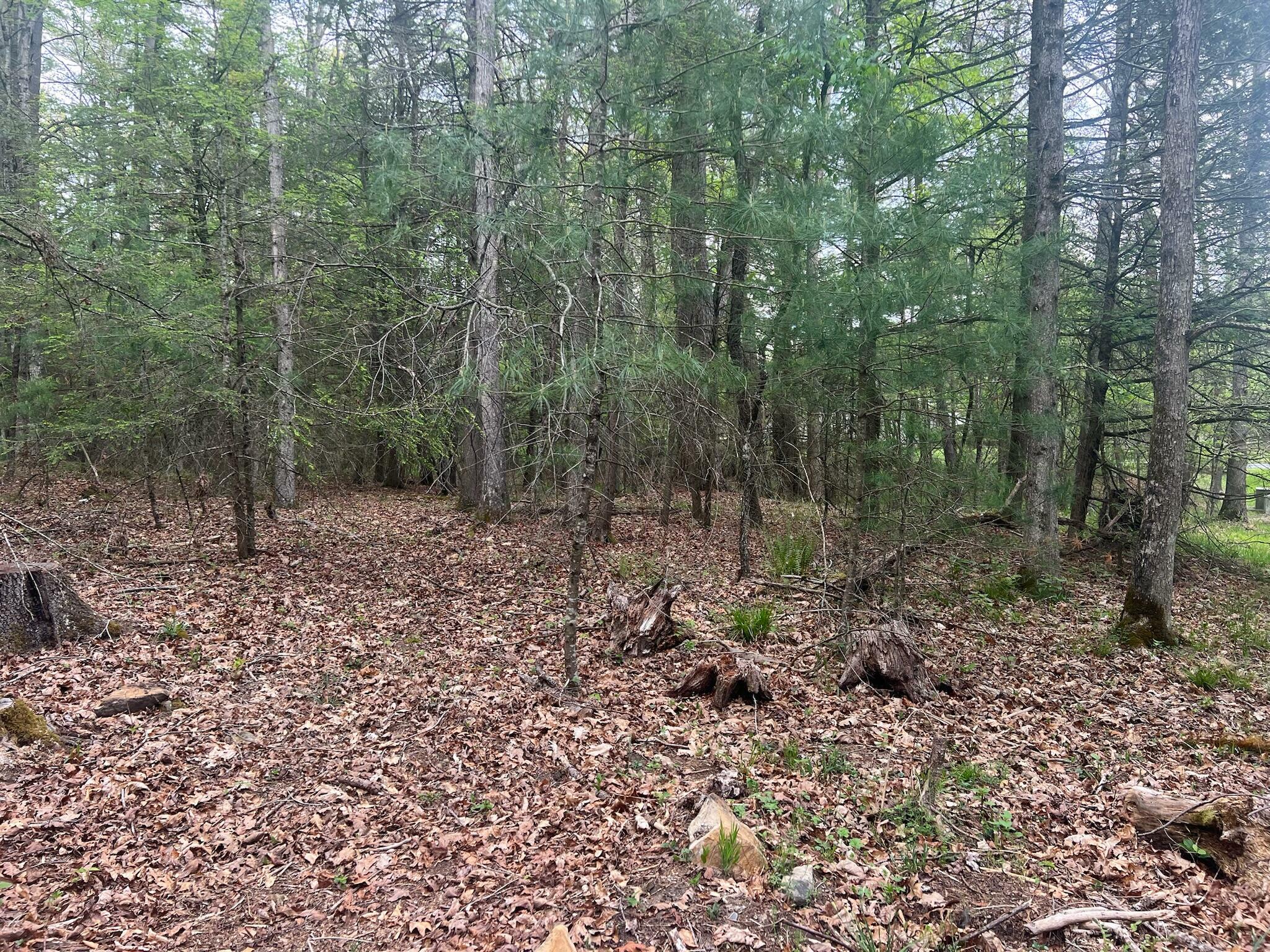 Property Photo:  Lot 3 Asbury Trce  WV 24901 