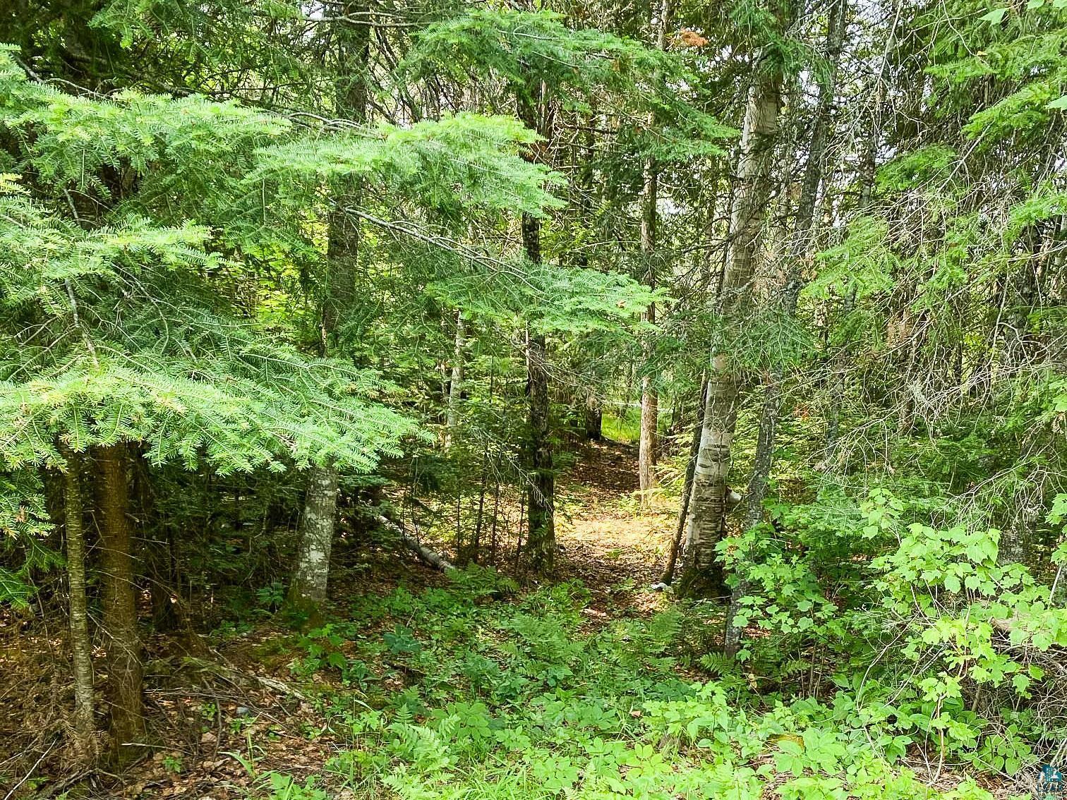 Property Photo:  6X Wilderness Tr Lot 10 Block 1 Wilderness Shores  MN 55606 