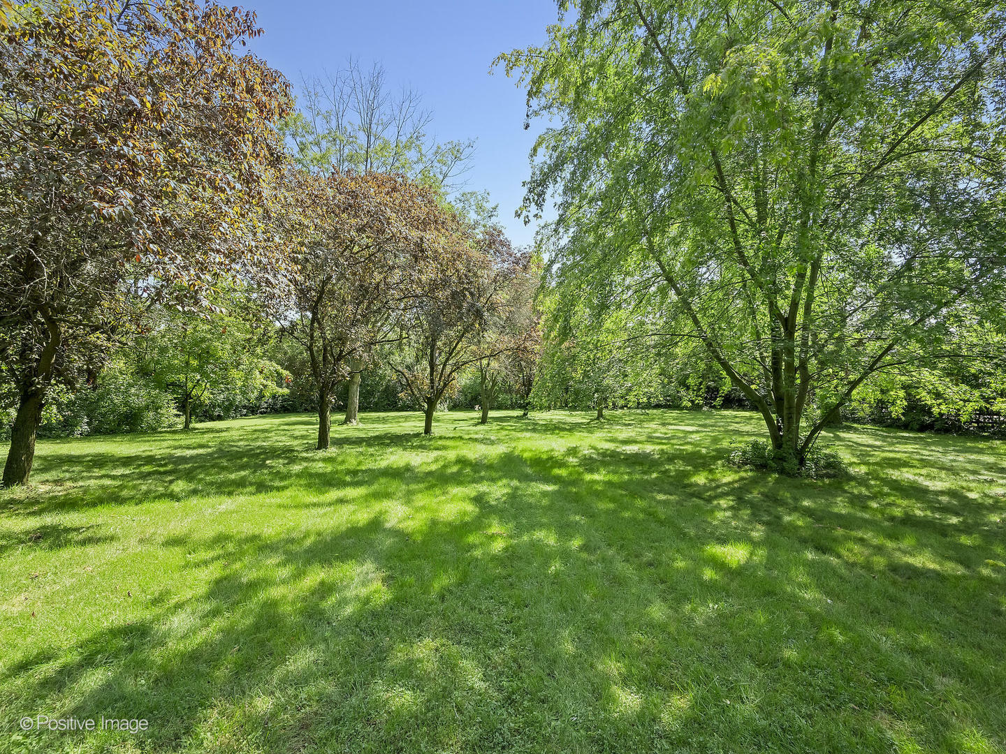 Property Photo:  15W070 60th Street  IL 60527 