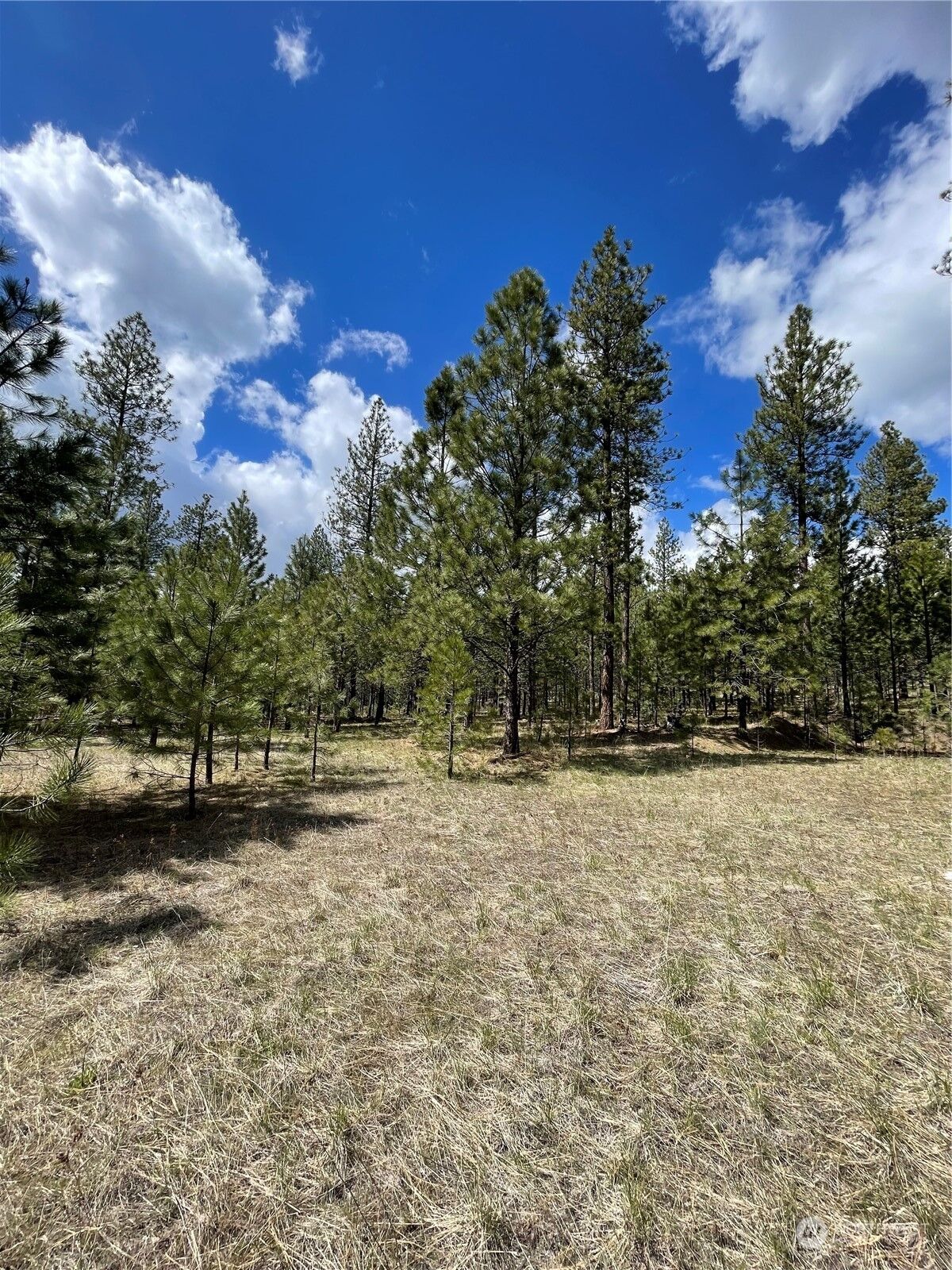 Property Photo:  119 Chief Joseph Trail  WA 98849 