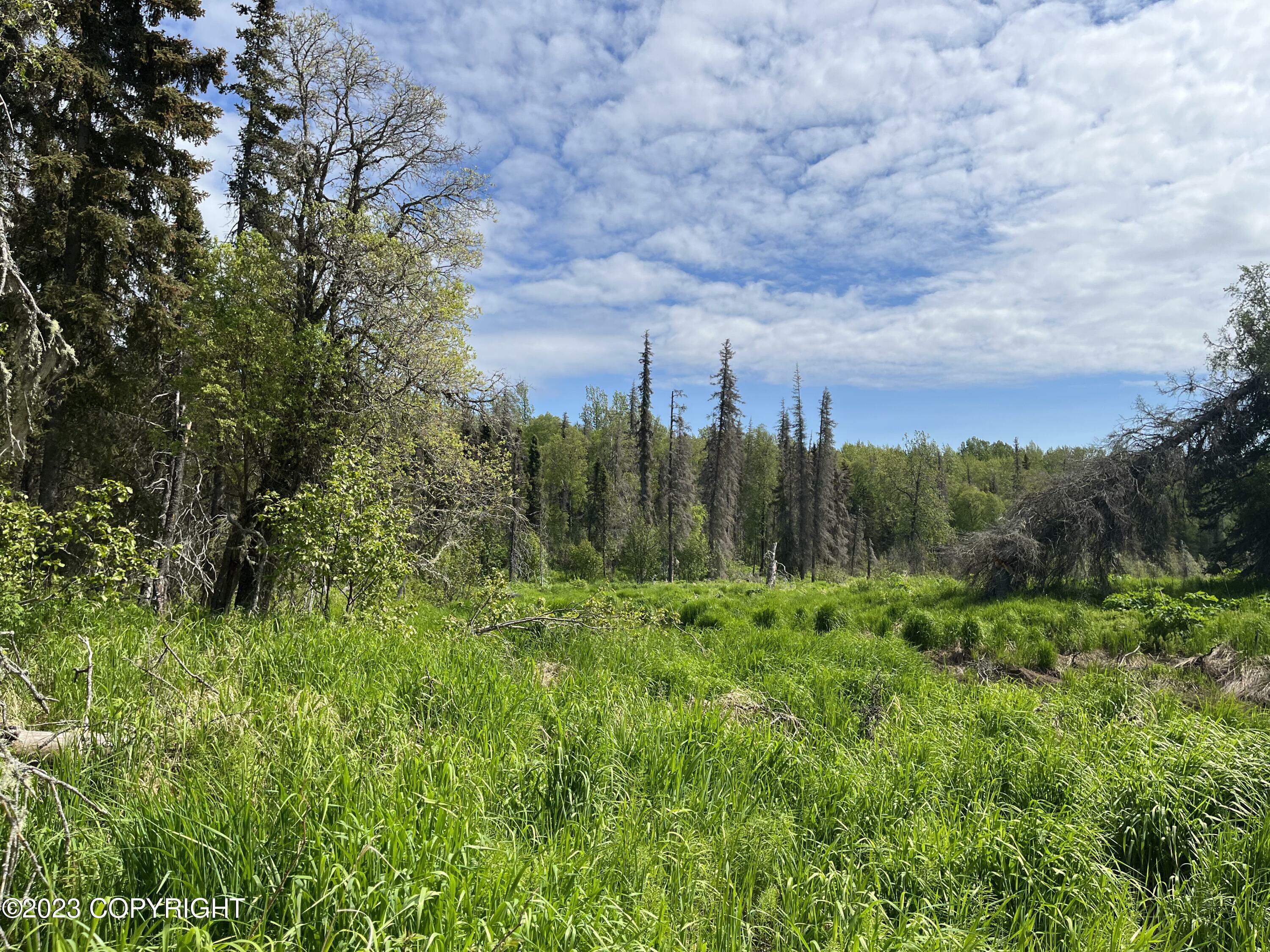 Property Photo:  Tract B-5 North Woods Street  AK 99611 