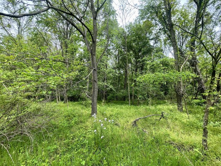 Property Photo: 0 Stickle Road OH 43071