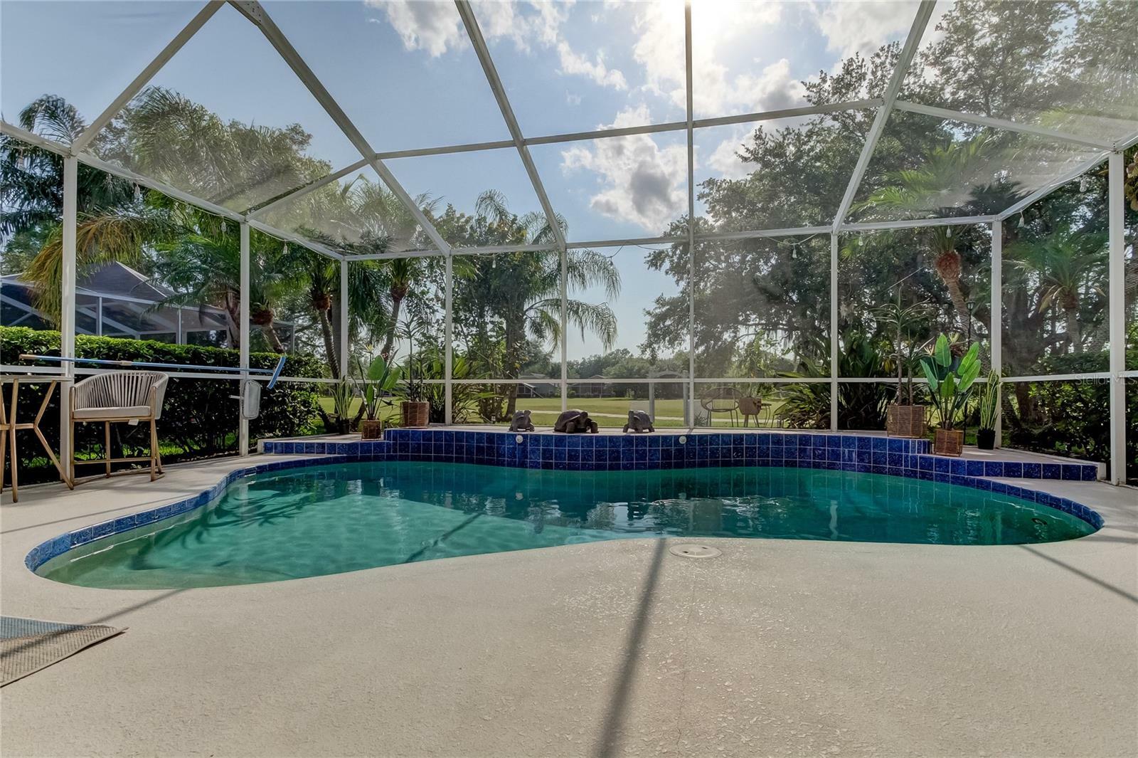 Property Photo:  19328 Aqua Springs Drive  FL 33558 