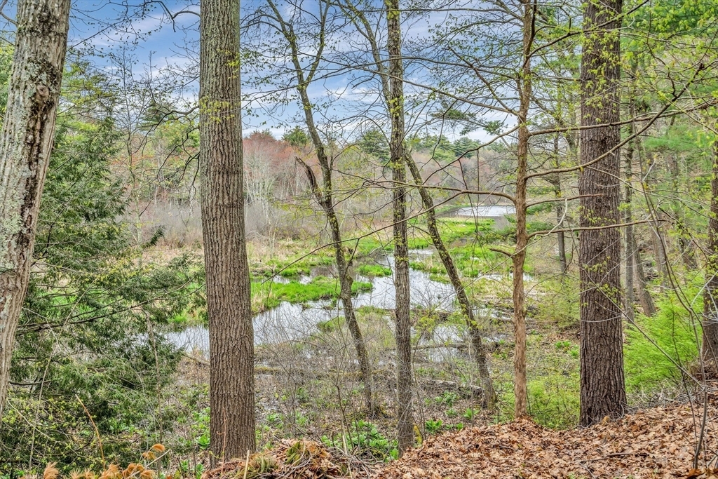 Property Photo:  134 Barton Drive  MA 01776 