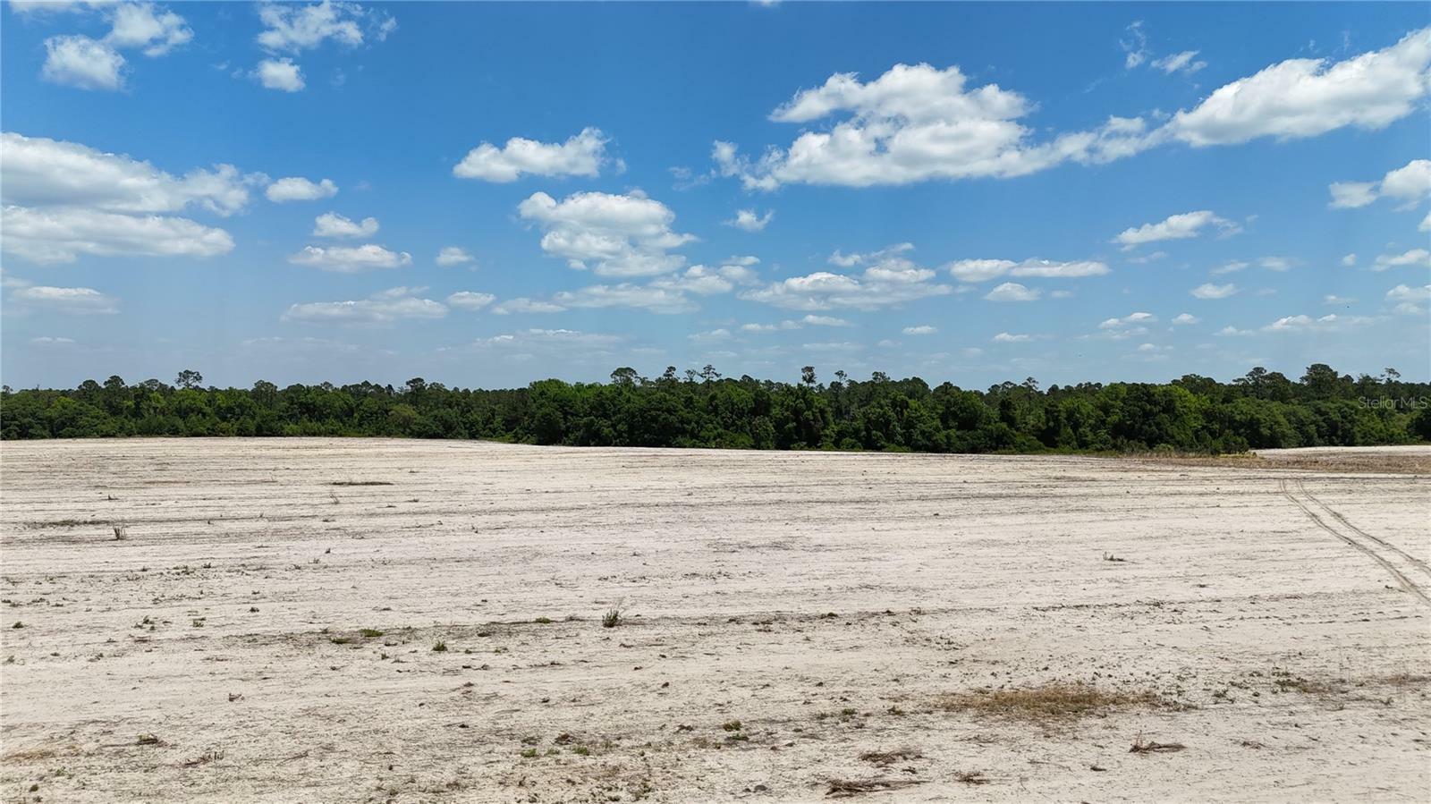 Property Photo:  114.1ac - E Hwy 318 E Hwy 318  FL 32113 