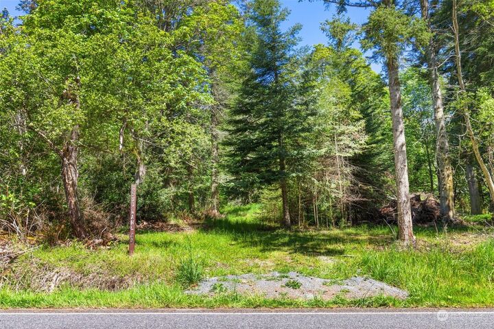 Property Photo:  0 Xxx Wahl Road  WA 98249 