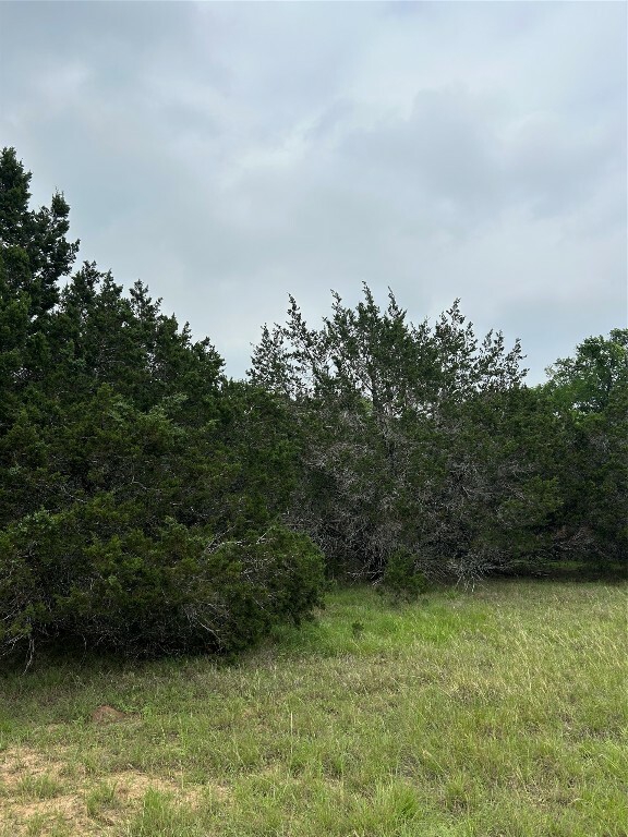 Property Photo:  4 Quiet Meadow Circle  TX 78676 