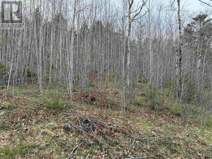 Property Photo:  Lot 5 Highway 10  NS B0R 1E0 