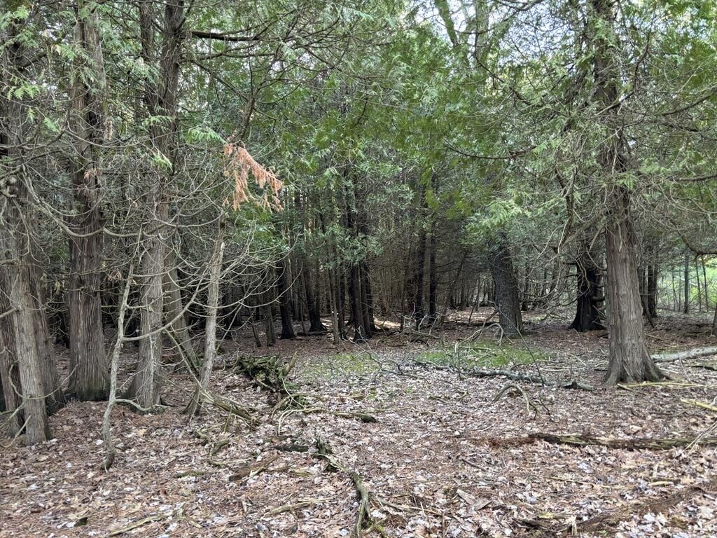 Property Photo:  0001 Bonita Way  MI 49675 