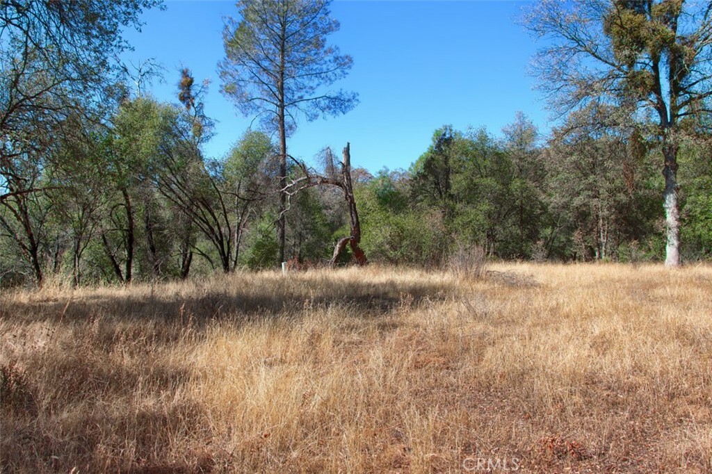 Property Photo:  0 2.03 Ac Road 425C  CA 93614 